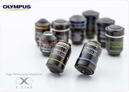 X Line Objective Lenses Break Optical Barriers with Simultaneously Improved Image Flatness, Chromatic Aberration Correction and Numerical Aperture