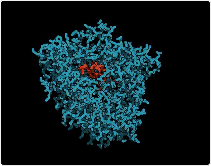 The hepatic microsomal enzyme system is a collection of enzymes present in the liver.