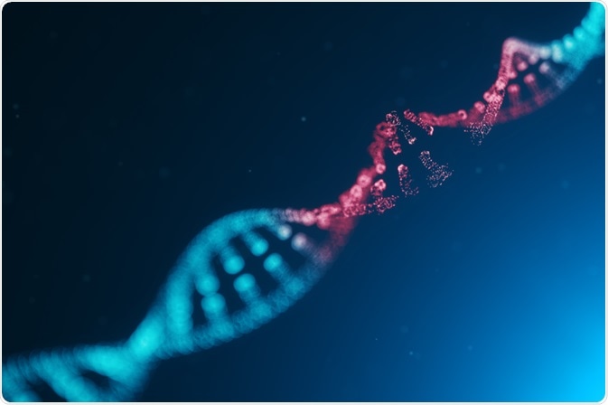 Intronic variation can affect disease risk.