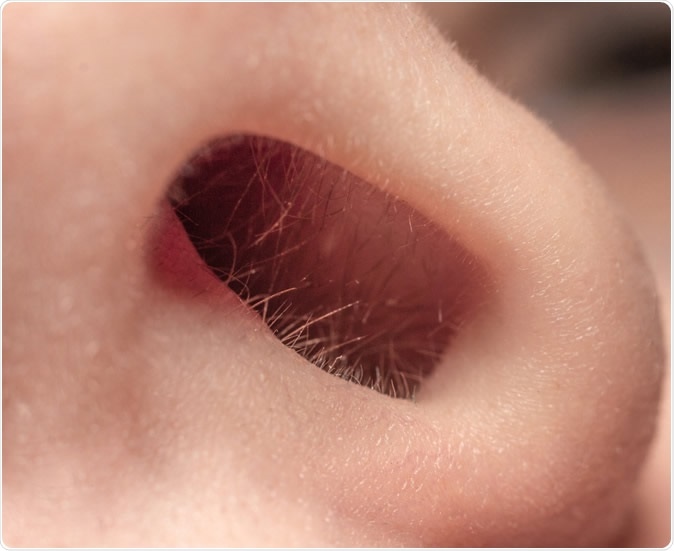 Image Credit: Shutterstock