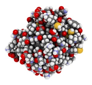 Thioredoxin antioxidant enzyme. 3D illustration. Atoms shown as spheres with conventional color coding. - Illustration Credit: molekuul_be / Shutterstock