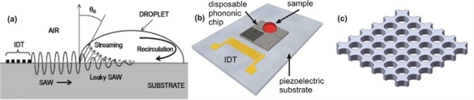 (a) SAW propagating on a piezoelectric substrate transferring mechanical energy into a liquid sample; (b) an alternative format where a phononic bandgap structure is patterned onto a disposable superstrate, which is placed on the piezoelectric substrate; (c) Example schematic of a phononic lattice (holes of 80 μm in diameter). (a) SAW propagating on a piezoelectric substrate transferring mechanical energy into a liquid sample; (b) an alternative format where a phononic bandgap structure is patterned onto a disposable superstrate, which is placed on the piezoelectric substrate; (c) Example schematic of a phononic lattice (holes of 80 μm in diameter).