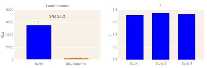 Large, robust luminescence assay window.