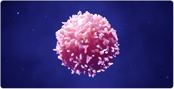 CTVT first emerged in a dog that lived 4-8.5 thousand years ago. All CTVT tumours carry the DNA belonging to this “founder dog”. By counting and analysing the mutations acquired by CTVT tumours around the world, researchers can piece together how and when CTVT emerged and spread.   Artist’s impression of the “founder dog” that first gave rise to CTVT. This dog’s phenotypic traits were interpreted from the genetic variation found in the DNA of the cancer that it spawned.     [Image credit: Emma Werner]   Download Photo  A contagious form of cancer known as canine transmissible venereal tumor (CTVT) has been affecting dogs for thousands of years. The evolution of this disease could hold vital insights for the study and treatment of human cancers.