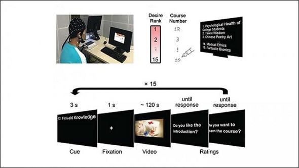 Engaging educational videos correlated with similar brain activity across learners Engaging educational videos correlated with similar brain activity across learners