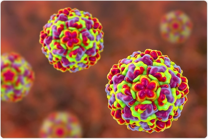 Molecular model of rhinovirus, the virus that causes common cold and rhinitis, 3D illustration - Illustration Credit: Kateryna Kon / Shutterstock