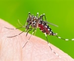 Dengue antibody may block the spread of Zika virus in vulnerable areas of the body