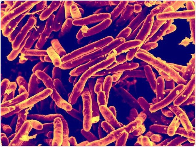 Mycobacterium tuberculosis