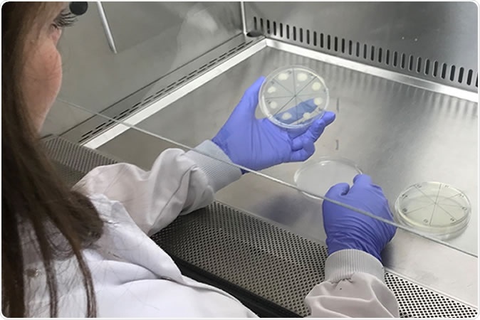 New treatment can completely kill a M. abscessus infection that can be deadly to cystic fibrosis