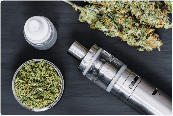 Image Credit: Lifestyle discover / Shutterstock