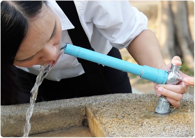 Image Credit: Thananya Apiromyanon / Shutterstock