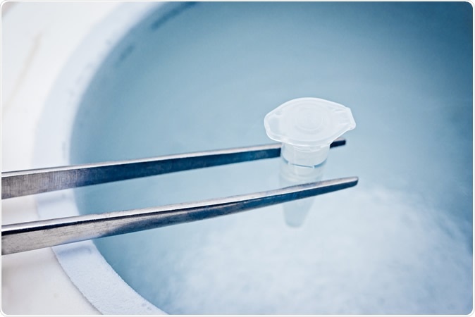 Test tube with sperm, cryopreservation in the liquid nitrogen. Image Credit: Elena Pavlovich / Shutterstock
