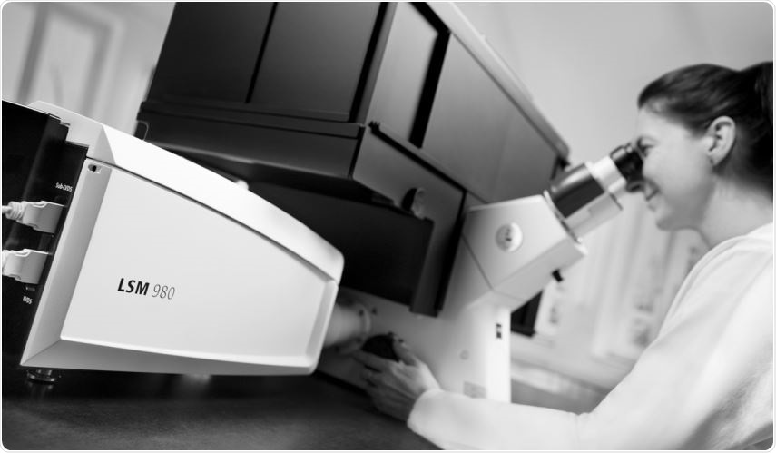 LSM 980 Confocal Microscope