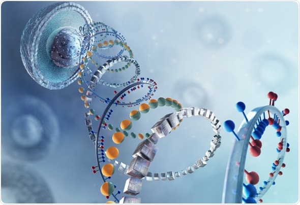 New, faster and cheaper method to uncover genetic variants in single cells