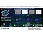 New method reveals how giant viruses infect amoeba