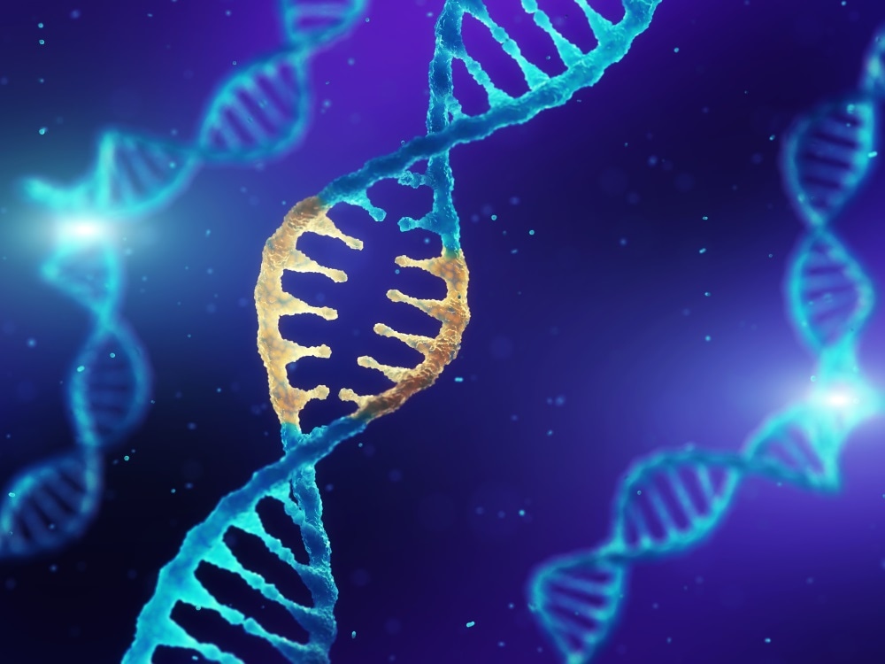 Image Credit: nobeastsofierce / Shutterstock.com