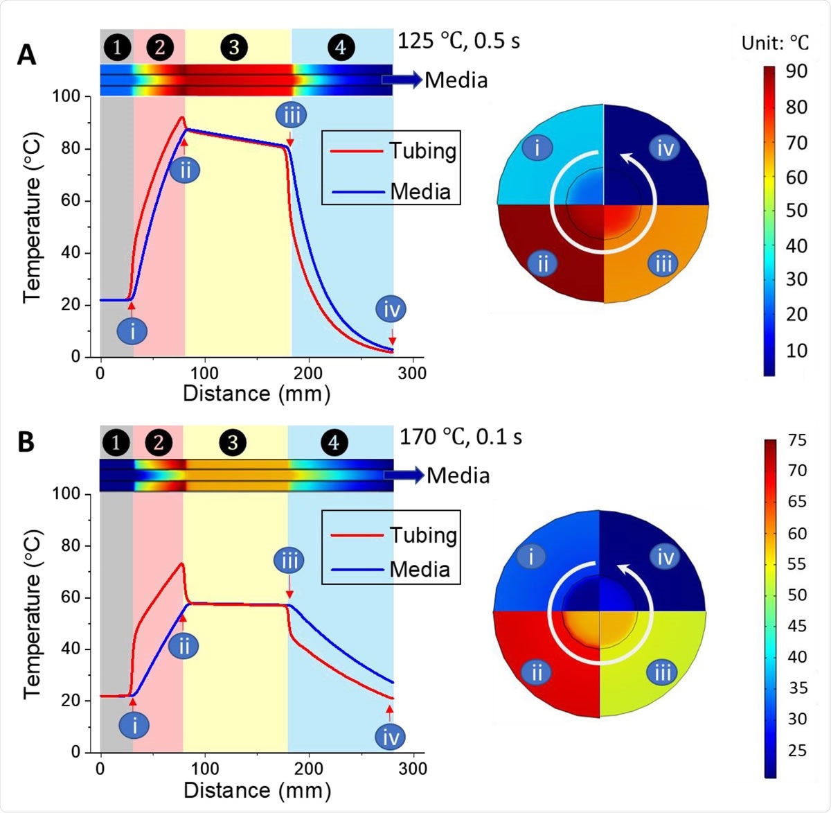 The simulated temperature distribution of the entire heat inactivation system when using oil bath to apply and sectional views of positions i - iv are displayed in the right circle: (A) 125 ℃, 0.5 s exposure, and (B) 170 ℃, 0.1 s exposure. Zone ○1 pre-oil bath; Zone ○2 oil bath; Zone ○3 ambient air; Zone ○4 Ice bath.
