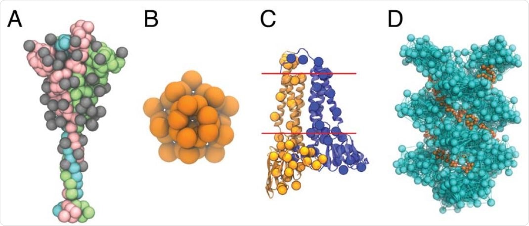 CG models of the SARS-CoV-2 structural proteins. (A) The CG model of the S protein trimer in the open state. The protein monomers are depicted as pink, green, and cyan beads, respectively; the monomer in pink has an exposed receptor binding domain. Each of the 22(x3) N-linked glycans are depicted as grey beads. (B) The CG model of the pentameric E protein is depicted as orange beads. (C) The CG M dimer model is depicted as yellow and blue spheres, overlaid on top of the AA model of the M dimer. Each monomer has 36 CG sites, and the red lines indicate the approximate positions of the transmembrane region. (D) The CG model of the N protein CTD helix in complex with viral RNA. The N protein helix and bonds derived from the hENM are depicted in cyan, while the RNA is depicted as orange beads.