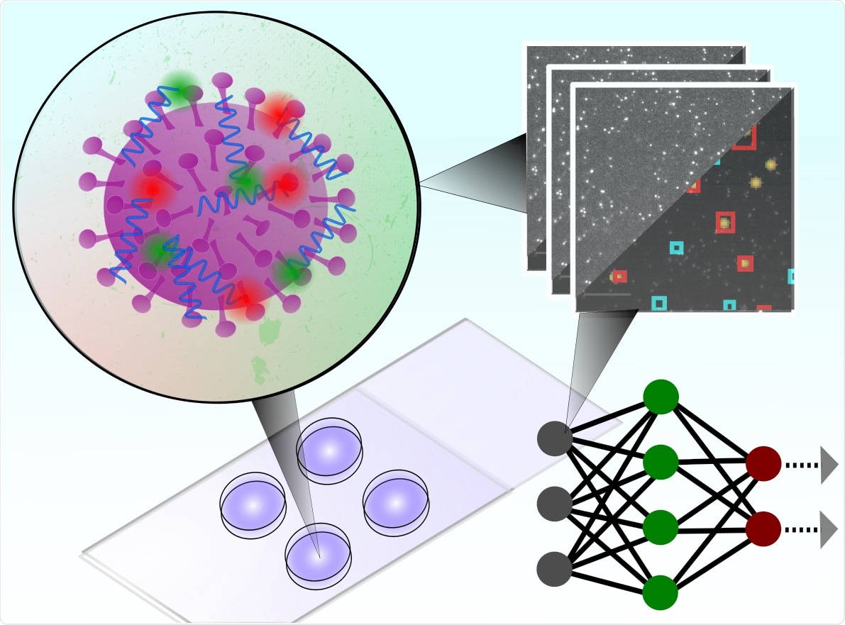 New diagnostic test detects and identifies SARS-CoV-2 virus in less than five minutes