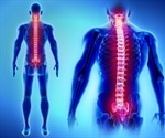 Insight into the Spinal Cord