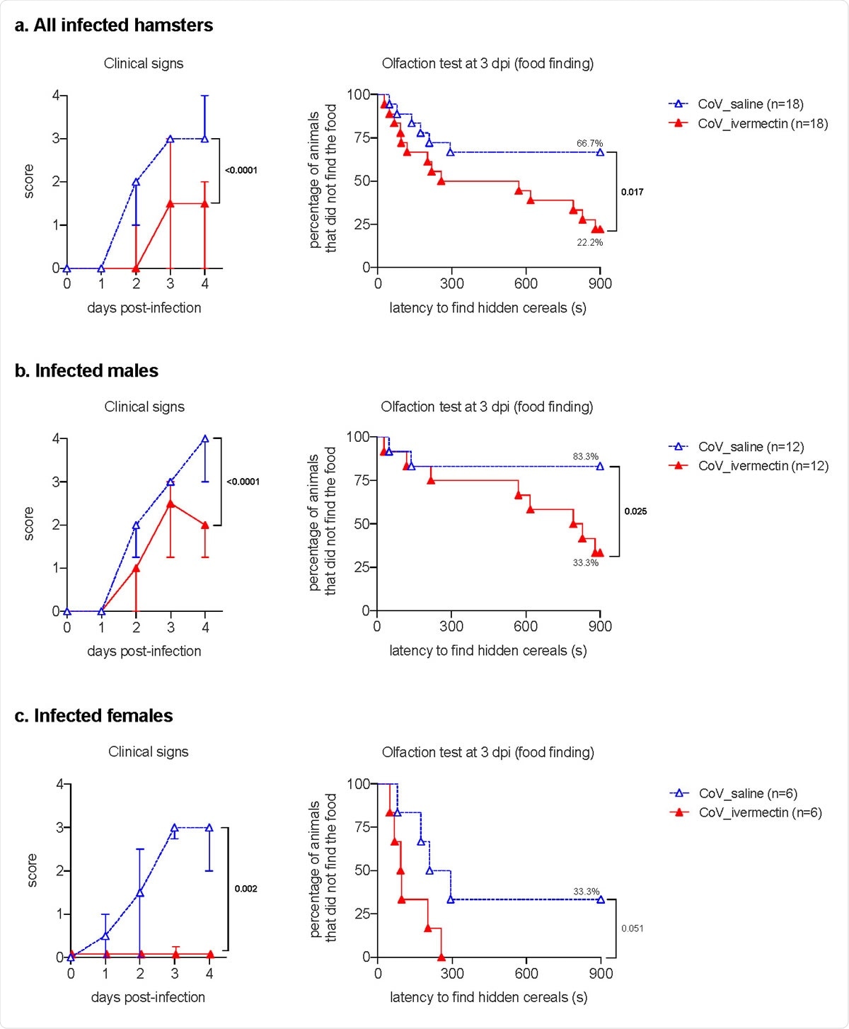 Clinical presentation and olfaction test of SARS-CoV-2-infected hamsters with and without ivermectin treatment. a. clinical signs and olfactory deficit in all infected hamsters. b, clinical signs and olfactory deficit in infected male hamsters only. c, clinical signs and olfactory deficit in infected female hamsters only. The clinical score is based on a cumulative 0-4 scale: ruffled fur; slow movements; apathy; stress when manipulated. The olfaction test is based on the buried food finding test. Curves represent the percentage of animals that did not find the buried food. Food finding assays were performed at 3 days post-infection. Mann-Whitney test at 4 dpi (clinical signs) and Log rank (Mantel-Cox) test (olfaction tests). The p value is indicated in bold when significant at a 0.05 threshold. Symbols indicate the median ± interquartile range. Data were obtained from three independent experiments for males and two independent experiments for females.