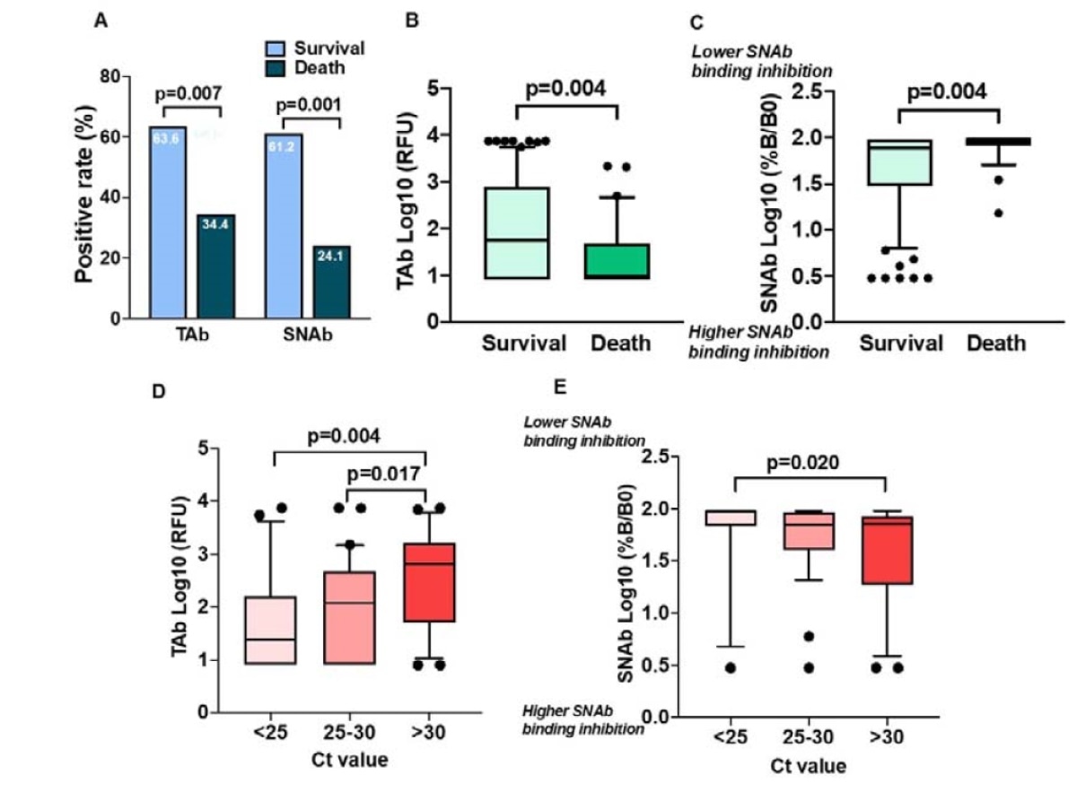 Survival probability among SARS-CoV-2 infected patients with positive and negative (A) TOP-TAb and (B) TOP-SNAb at initial hospital ED presentation. Data were analyzed using Cox proportional hazards regression adjusting for age and cancer comorbidity.