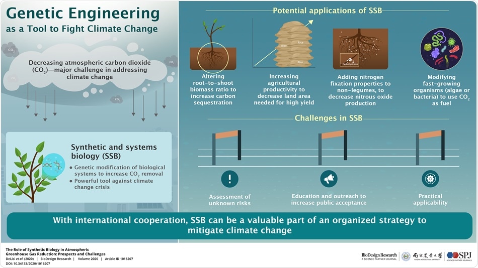 Scientists reveal how genetically modified organisms can help mitigate climate change