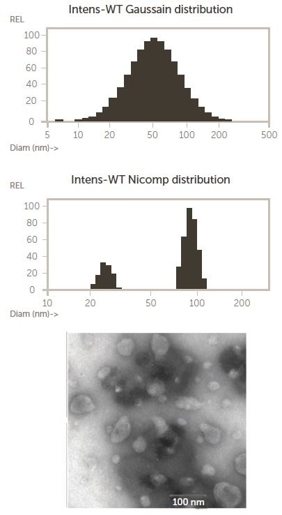 Nicomp and TEM results for an LCNP dispersion, copied with rights from 4