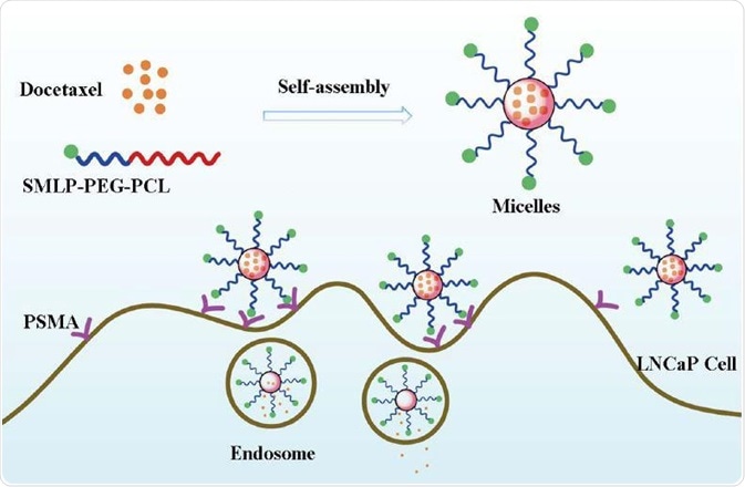 Preparation and endocytosis of DTX loaded polymeric micelles targeted to PSMA12