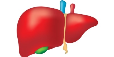 Study could pave the way for potential urine test to diagnose liver fibrosis