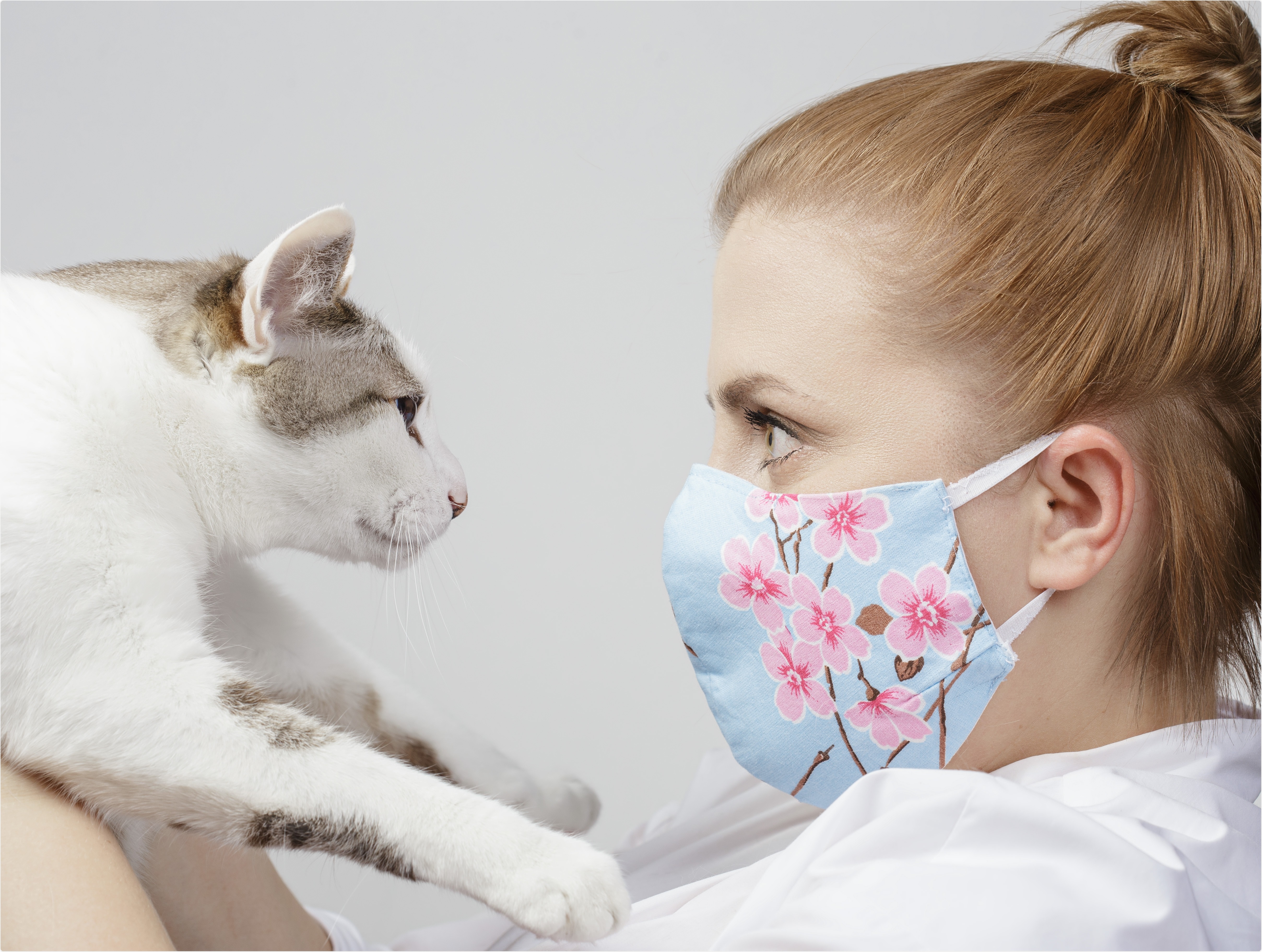 Study: Susceptibility of well-differentiated airway epithelial cell cultures from domestic and wildlife animals to SARS-CoV-2. Image Credit: Vetrof / Shutterstock