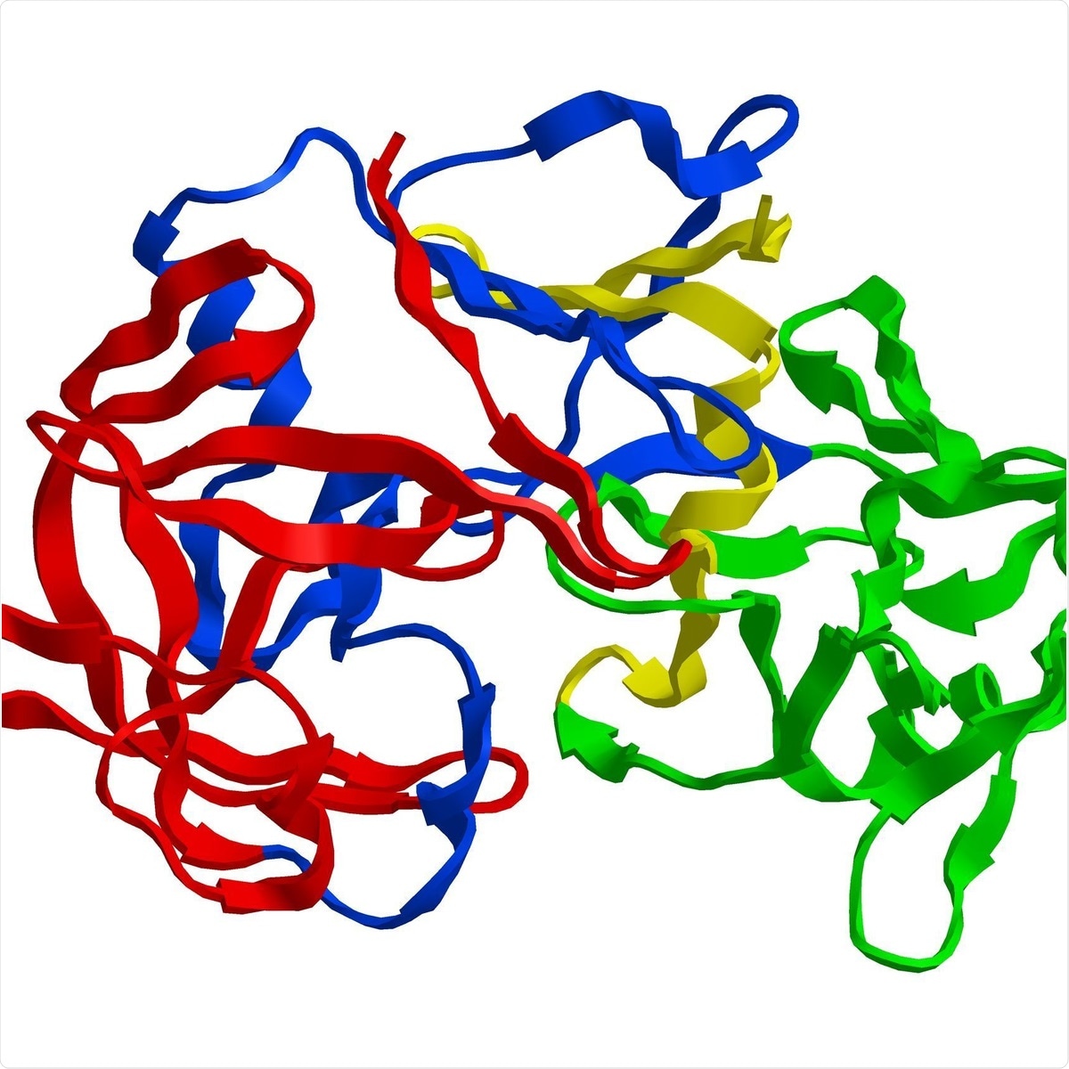 Molecular structure of digestive protein pepsin, enzyme that breaks down proteins into smaller (protease). Image Credit: Raimundo79 / Shutterstock.