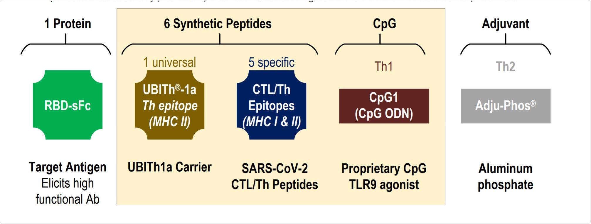 Components of the UB-612 Multitope vaccine.