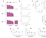 Study confirms the feasibility of RT-qPCR on extraction-free inactivated SARS-CoV-2 samples