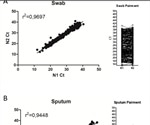 Single N primer sufficient for SARS-CoV-2 molecular diagnosis