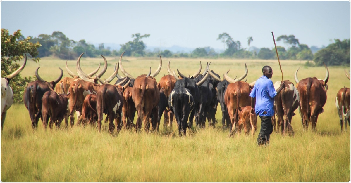 Study: Outbreak of Anthrax Associated with Handling and Eating Meat from a Cow, Uganda, 2018. Image Credit: Tatsiana Hendzel / Shutterstock