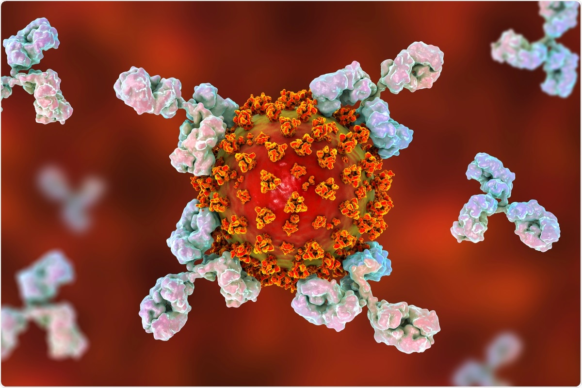 Study: Prevalent, protective, and convergent IgG recognition of SARS-CoV-2 non-RBD spike epitopes in COVID-19 convalescent plasma. Image Credit: Kateryna Kon / Shutterstock