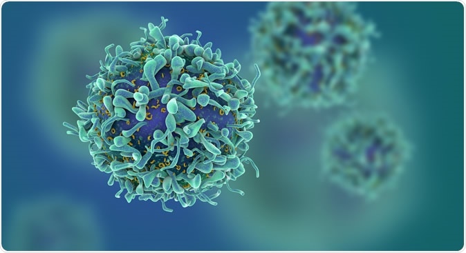 3D illustration of T cells or cancer cells. Ige Credit: Fusebulb / Shutterstock