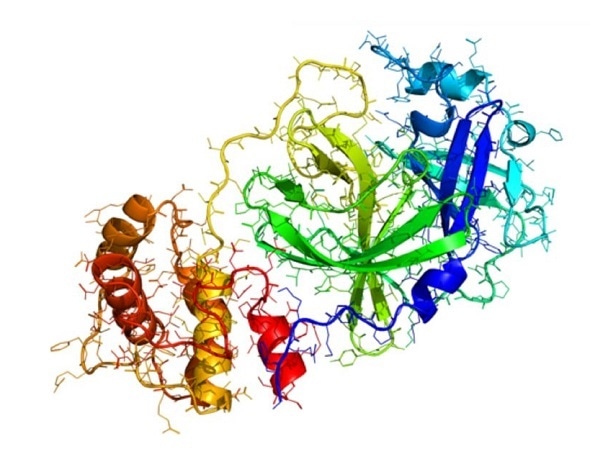 Coronavirus spread will remain under control and specific groups should not be stigmatized, urges microbiologist