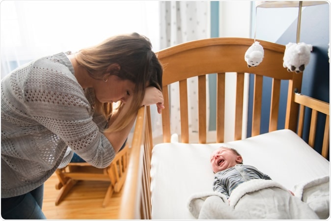 Image Credit: Lopolo / Shutterstock