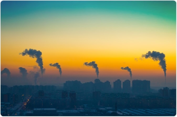 Image Credit: Aapsky / Shutterstock