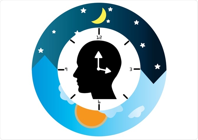 Circadian Rhythm