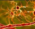 What are Astrocytes?