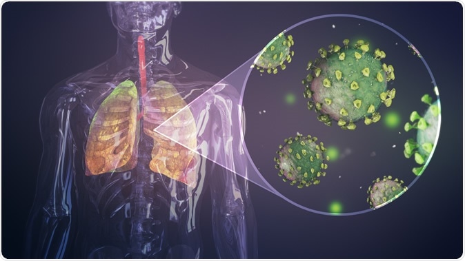 Illustration of coronavirus infecting respiratory system. Image Credit: Iokanan VFX Studios / Shutterstock