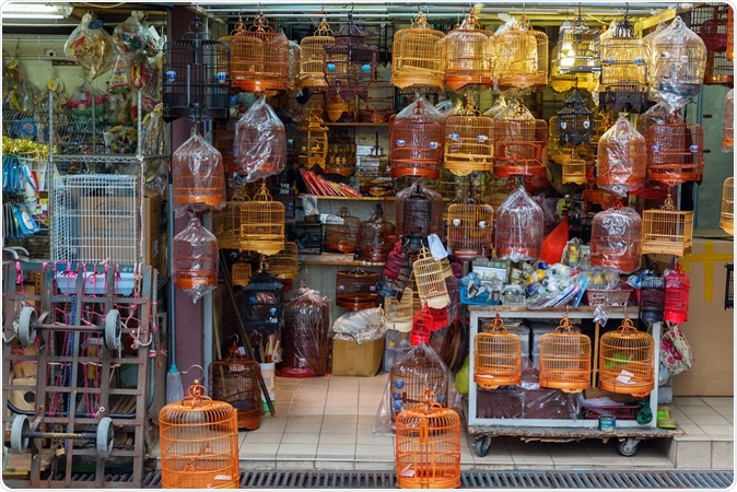 Hong Kong - March 10, 2017: Bird market in Kowloon, Hong Kong. Image Credit: Christian Mueller / Shutterstock