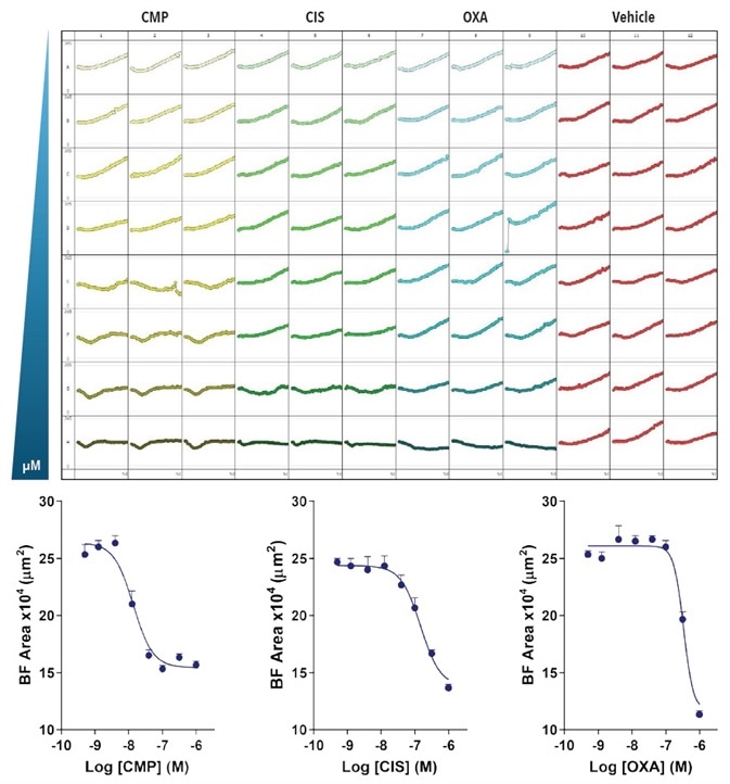 Effect of CMP, CIS and OXA on growth of SKOV3 cells in a spheroid assay. SKOV3 cells were plated at a density of 5,000 cells per well and spheroid allowed to form (72-hours). Cells were then treated with serial compound dilutions and kinetics of spheroid growth and shrinkage were obtained. Plate-view shows the individual well Largest BF area (µm2) over time. Concentration response curves represent the Largest BF area (µm²) at 204-hours post-treatment. Data were collected over 240-hour period at 6-hour intervals. Each data point represents mean ±SEM,