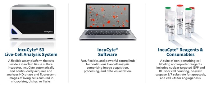 Continuous live-cell analysis: methodology