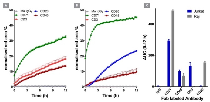 Internalization of CD surface marker targeted antibodies in lymphocytic cell lines. Jurkat (T cell-like) and Raji (B cell-like) cells (30 K/well) were treated with different IncuCyte® FabFluor labeled antibodies (4 μg/mL). HD phase and red Images were captured every 30 minutes using a 20x objective over 12 h. Time course data (A and B) and area under the curve (AUC, C) analysis demonstrates the response profile in both cell lines. All data shown as a mean of at least 4 wells ± SEM, time course data shown as normalized red area