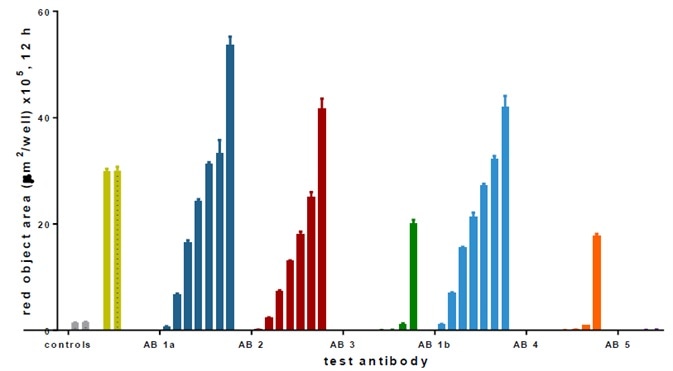 Cancer Drug Discovery Antibody Internalization Assays