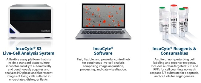 Cancer Drug Discovery Antibody Internalization Assays